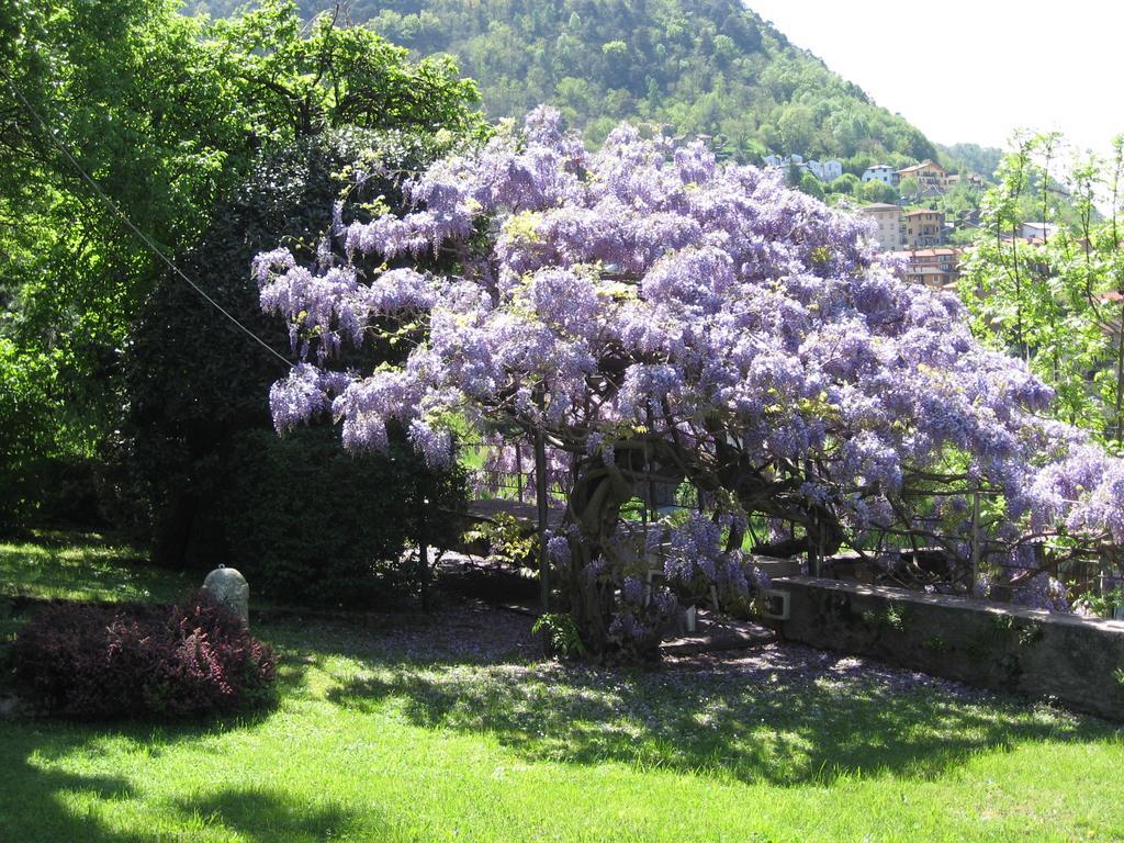 Casa Gibiseo Daire Bellano Dış mekan fotoğraf