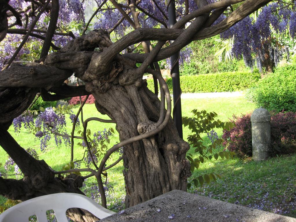 Casa Gibiseo Daire Bellano Dış mekan fotoğraf