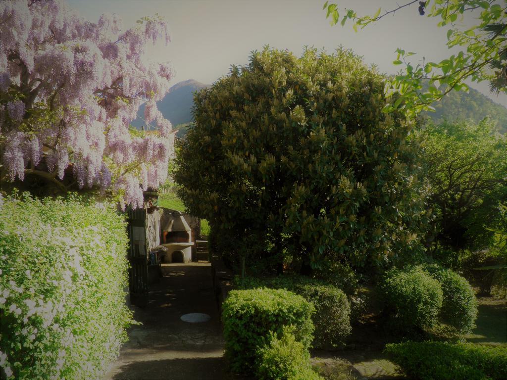 Casa Gibiseo Daire Bellano Dış mekan fotoğraf
