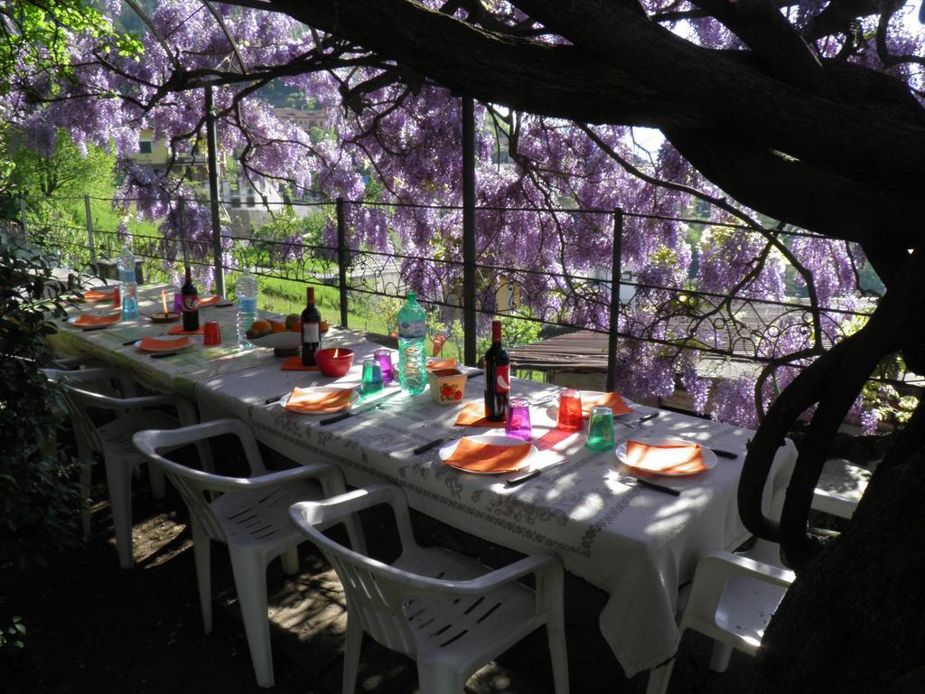 Casa Gibiseo Daire Bellano Dış mekan fotoğraf